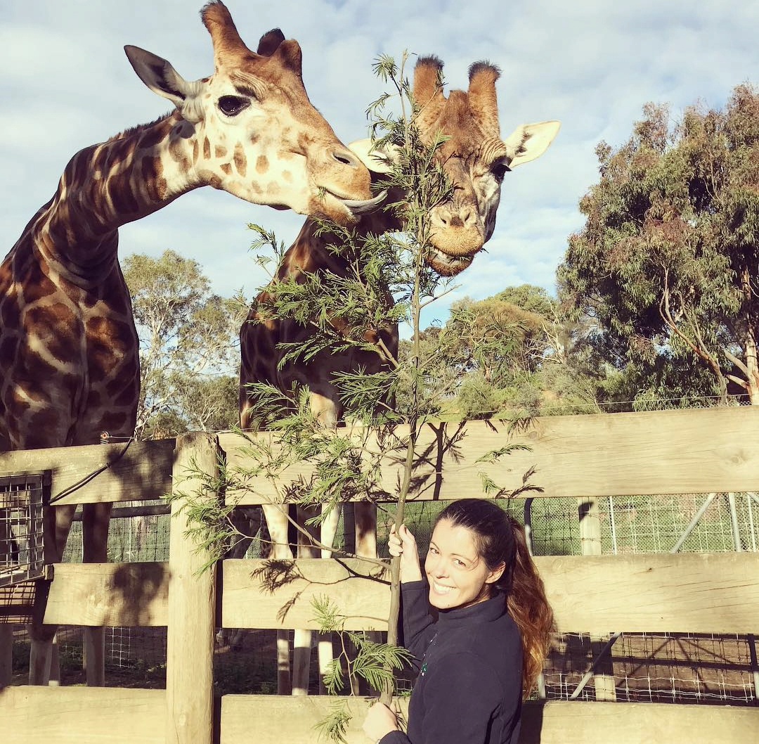 Jessica feeding giraffes, a lifelong love of all animals